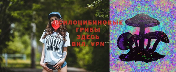 гашик Балахна