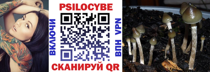 Галлюциногенные грибы Psilocybine cubensis  Коммунар 
